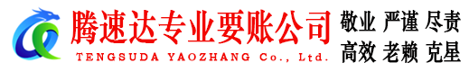 龙海腾速达要账公司